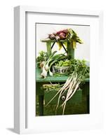 A Still Life Featuring Assorted Fresh Vegetables from the Garden on an Old Green Table-Sabine Löscher-Framed Photographic Print