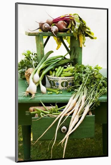 A Still Life Featuring Assorted Fresh Vegetables from the Garden on an Old Green Table-Sabine Löscher-Mounted Photographic Print