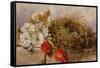 A Still Life of Blossom Tulips and a Birds Nest on a Ledge-Mary Elizabeth Duffield-Framed Stretched Canvas