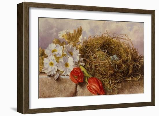 A Still Life of Blossom Tulips and a Birds Nest on a Ledge-Mary Elizabeth Duffield-Framed Giclee Print