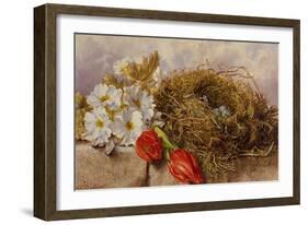 A Still Life of Blossom Tulips and a Birds Nest on a Ledge-Mary Elizabeth Duffield-Framed Giclee Print