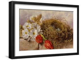 A Still Life of Blossom Tulips and a Birds Nest on a Ledge-Mary Elizabeth Duffield-Framed Giclee Print