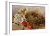 A Still Life of Blossom Tulips and a Birds Nest on a Ledge-Mary Elizabeth Duffield-Framed Giclee Print