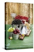 A Still Life of Currants and Gooseberries in Assorted Aluminium Containers-Sabine Löscher-Stretched Canvas