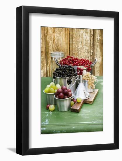 A Still Life of Currants and Gooseberries in Assorted Aluminium Containers-Sabine Löscher-Framed Photographic Print