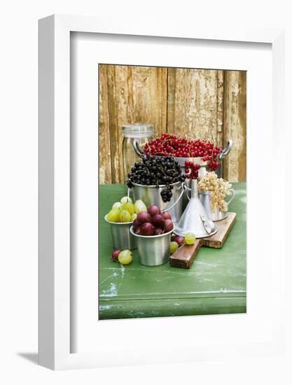 A Still Life of Currants and Gooseberries in Assorted Aluminium Containers-Sabine Löscher-Framed Photographic Print