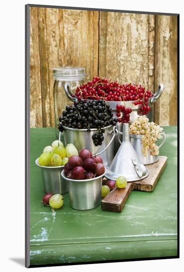 A Still Life of Currants and Gooseberries in Assorted Aluminium Containers-Sabine Löscher-Mounted Photographic Print