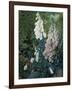 A Still Life of Foxgloves-Mary Margetts-Framed Giclee Print