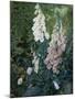 A Still Life of Foxgloves-Mary Margetts-Mounted Giclee Print