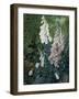 A Still Life of Foxgloves-Mary Margetts-Framed Giclee Print