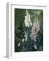 A Still Life of Foxgloves-Mary Margetts-Framed Giclee Print
