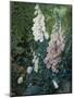 A Still Life of Foxgloves-Mary Margetts-Mounted Giclee Print