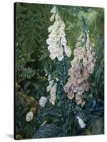 A Still Life of Foxgloves-Mary Margetts-Stretched Canvas