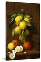 A Still Life of Lemons and Oranges-A Mensaque-Stretched Canvas