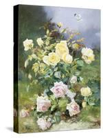 A Still Life of Pink and Yellow Roses-Alexandre Debrus-Stretched Canvas
