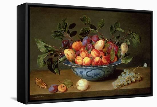 A Still Life of Plums and Apricots in a 'Wan-Li' Porcelain Bowl with a Bunch of Grapes and a…-Jacob van Hulsdonck-Framed Stretched Canvas