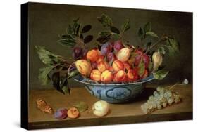 A Still Life of Plums and Apricots in a 'Wan-Li' Porcelain Bowl with a Bunch of Grapes and a…-Jacob van Hulsdonck-Stretched Canvas