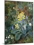 A Still Life of Polyanthus and Butterfly-Mary Margetts-Mounted Giclee Print