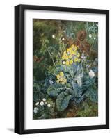 A Still Life of Polyanthus and Butterfly-Mary Margetts-Framed Giclee Print