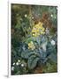 A Still Life of Polyanthus and Butterfly-Mary Margetts-Framed Giclee Print