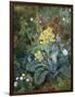 A Still Life of Polyanthus and Butterfly-Mary Margetts-Framed Giclee Print