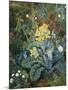 A Still Life of Polyanthus and Butterfly-Mary Margetts-Mounted Giclee Print