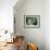 A Still Life of Pumpkins and Artichokes-Carl Vilhelm Balsgaard-Framed Giclee Print displayed on a wall