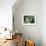 A Still Life of Pumpkins and Artichokes-Carl Vilhelm Balsgaard-Framed Giclee Print displayed on a wall