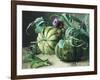 A Still Life of Pumpkins and Artichokes-Carl Vilhelm Balsgaard-Framed Giclee Print