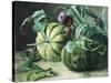 A Still Life of Pumpkins and Artichokes-Carl Vilhelm Balsgaard-Stretched Canvas