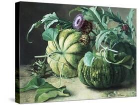 A Still Life of Pumpkins and Artichokes-Carl Vilhelm Balsgaard-Stretched Canvas