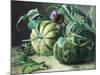 A Still Life of Pumpkins and Artichokes-Carl Vilhelm Balsgaard-Mounted Giclee Print