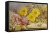 A Still Life of Roses and Other Flowers on a Ledge-Mary Elizabeth Duffield-Framed Stretched Canvas