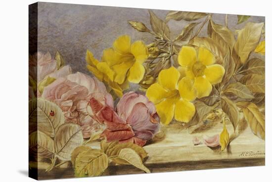 A Still Life of Roses and Other Flowers on a Ledge-Mary Elizabeth Duffield-Stretched Canvas