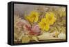 A Still Life of Roses and Other Flowers on a Ledge-Mary Elizabeth Duffield-Framed Stretched Canvas