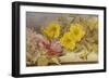 A Still Life of Roses and Other Flowers on a Ledge-Mary Elizabeth Duffield-Framed Giclee Print