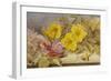 A Still Life of Roses and Other Flowers on a Ledge-Mary Elizabeth Duffield-Framed Giclee Print