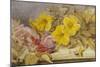 A Still Life of Roses and Other Flowers on a Ledge-Mary Elizabeth Duffield-Mounted Giclee Print