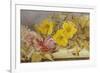 A Still Life of Roses and Other Flowers on a Ledge-Mary Elizabeth Duffield-Framed Giclee Print