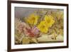 A Still Life of Roses and Other Flowers on a Ledge-Mary Elizabeth Duffield-Framed Giclee Print