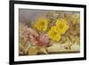 A Still Life of Roses and Other Flowers on a Ledge-Mary Elizabeth Duffield-Framed Giclee Print