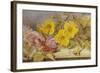 A Still Life of Roses and Other Flowers on a Ledge-Mary Elizabeth Duffield-Framed Giclee Print