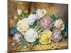 A Still Life of Roses-Thomas Frederick Collier-Mounted Giclee Print