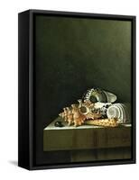 A Still Life of Shells, 1698-Adrian Coorte-Framed Stretched Canvas