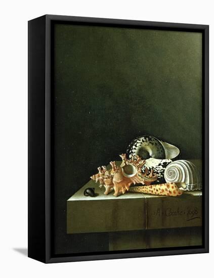 A Still Life of Shells, 1698-Adrian Coorte-Framed Stretched Canvas