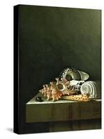 A Still Life of Shells, 1698-Adrian Coorte-Stretched Canvas