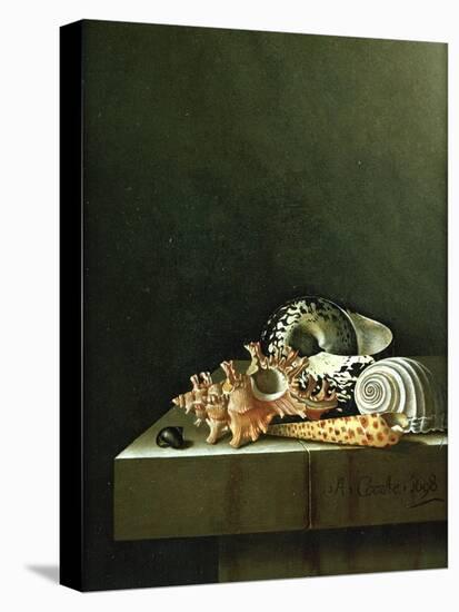 A Still Life of Shells, 1698-Adrian Coorte-Stretched Canvas