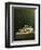 A Still Life of Shells, 1698-Adrian Coorte-Framed Premium Giclee Print