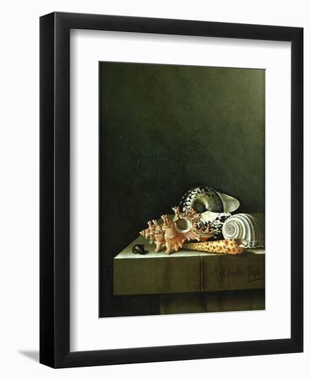 A Still Life of Shells, 1698-Adrian Coorte-Framed Premium Giclee Print