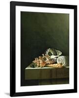 A Still Life of Shells, 1698-Adrian Coorte-Framed Giclee Print